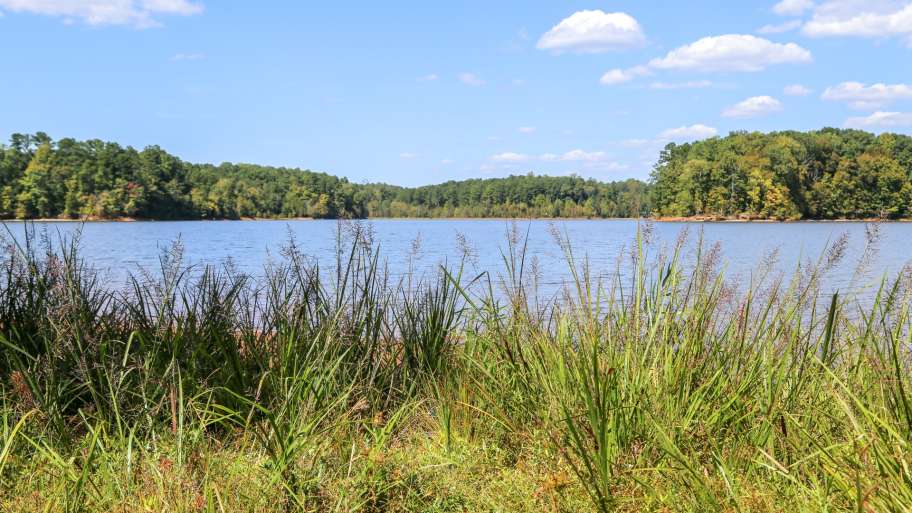 Forest Ridge Park
