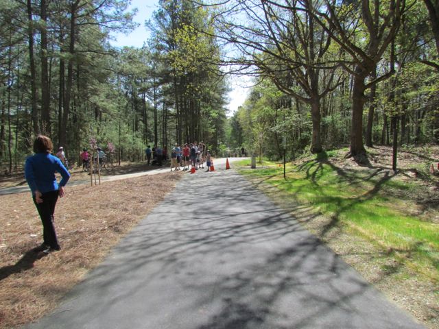 Blue Loop Trail