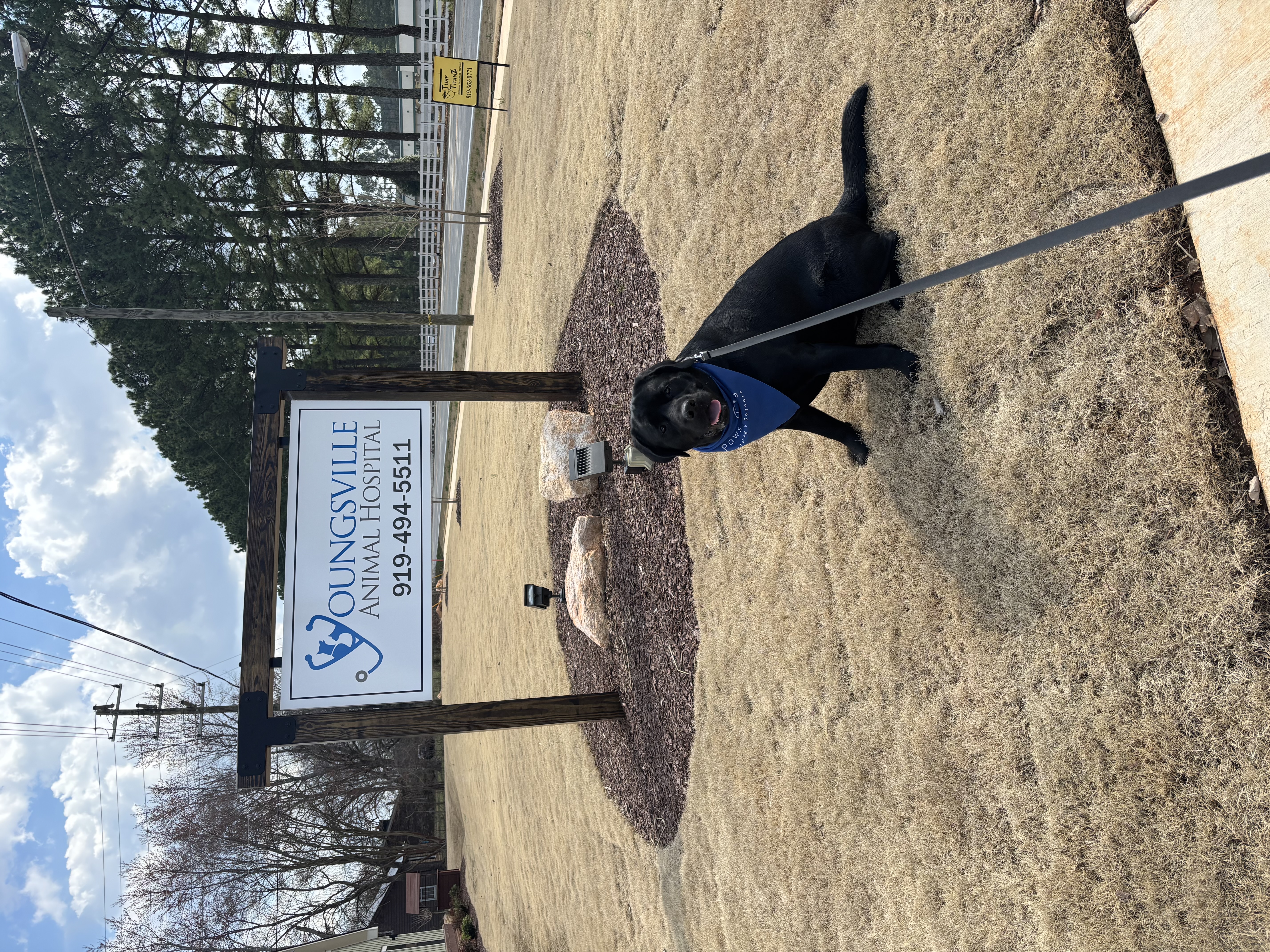 Youngsville Animal Hospital