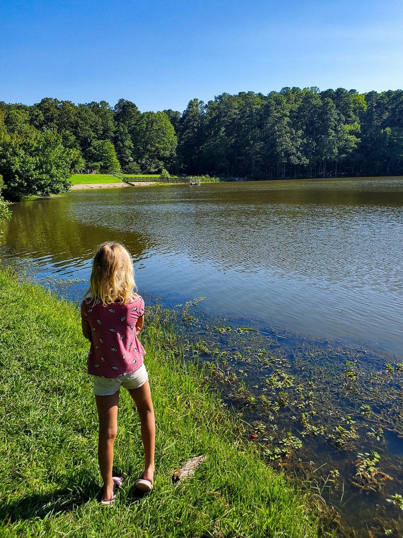 Sauls Branch Trail