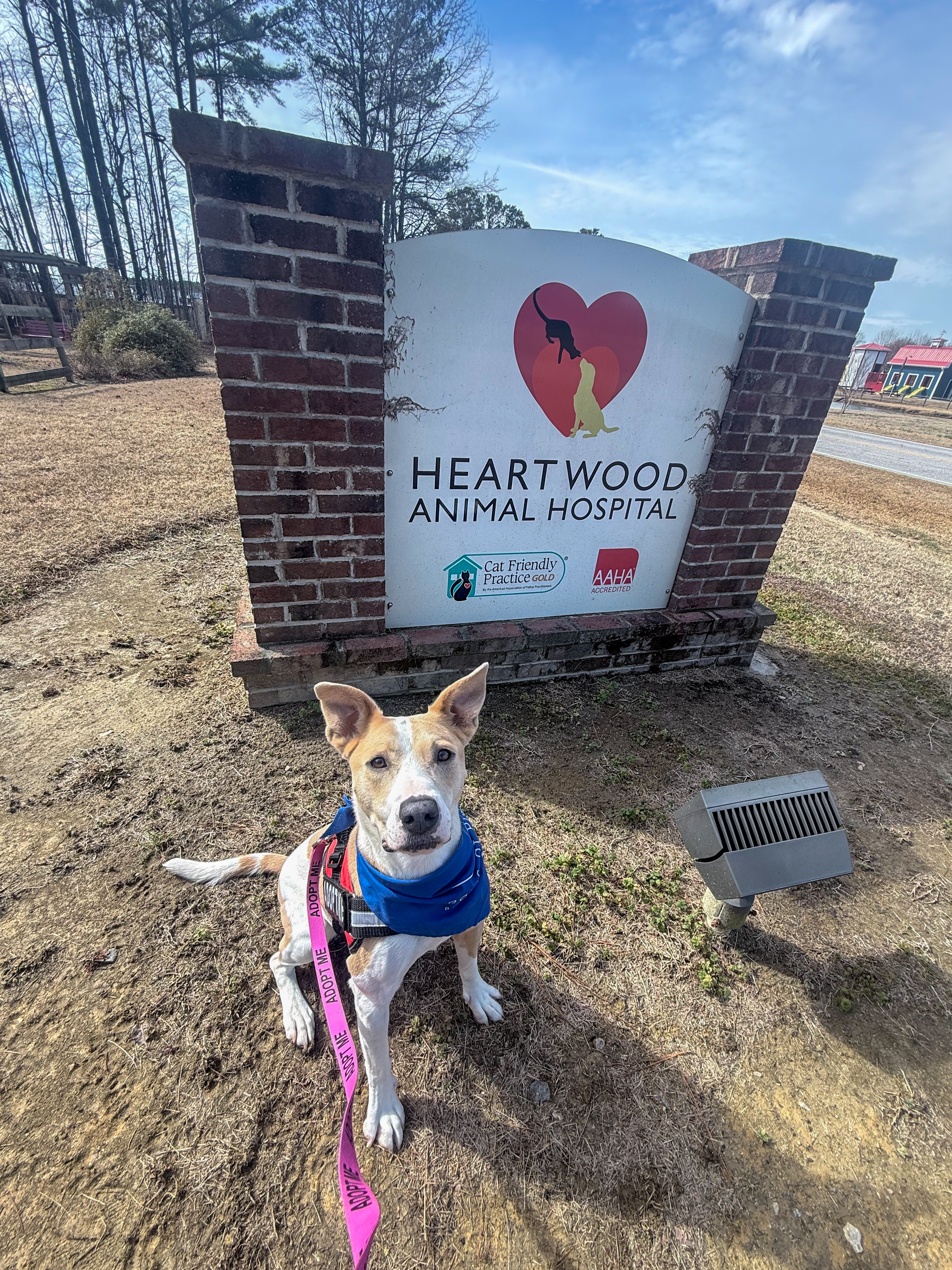 Heartwood Animal Hospital