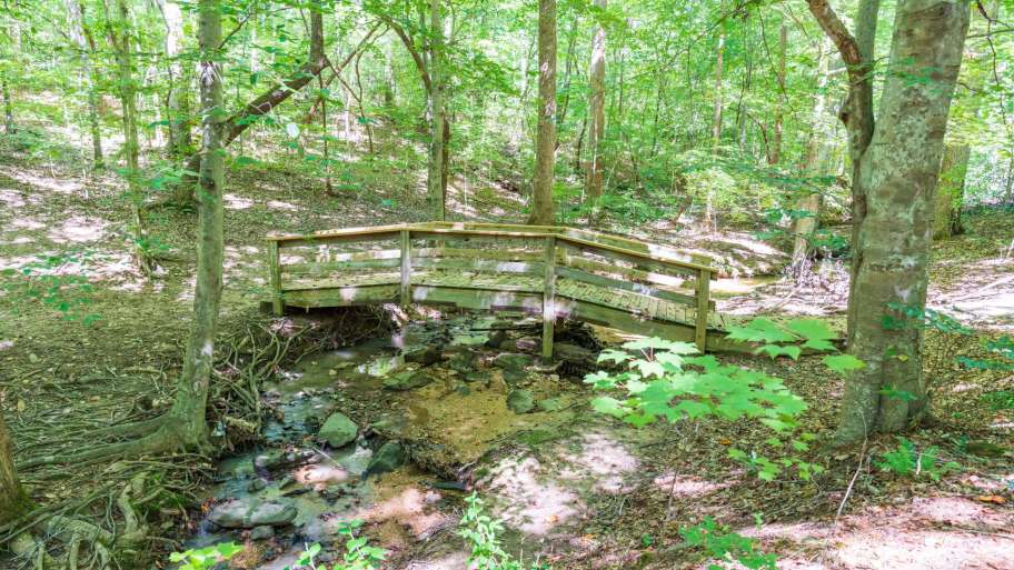 Brookhaven Nature Park