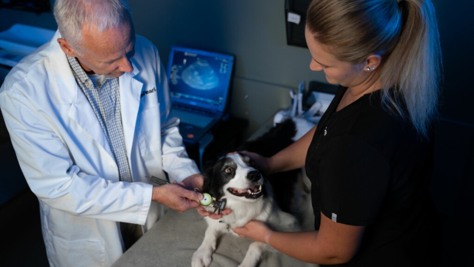 BluePearl Pet Hospital